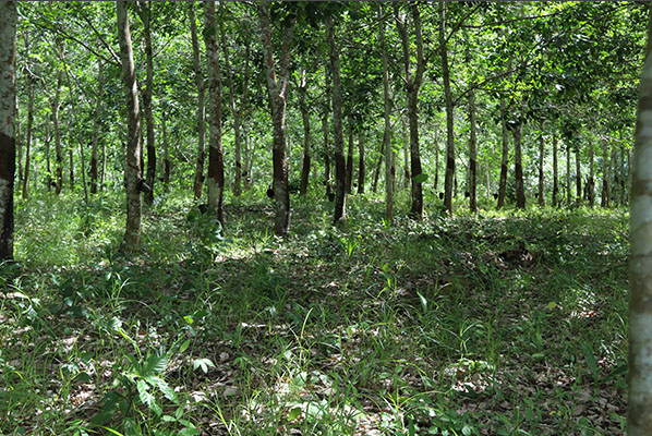 img-page-biodiversite