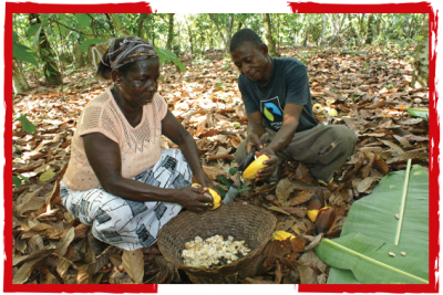 Tablette sans sucre ajouté – Pérou et Saint-Domingue – Belvas